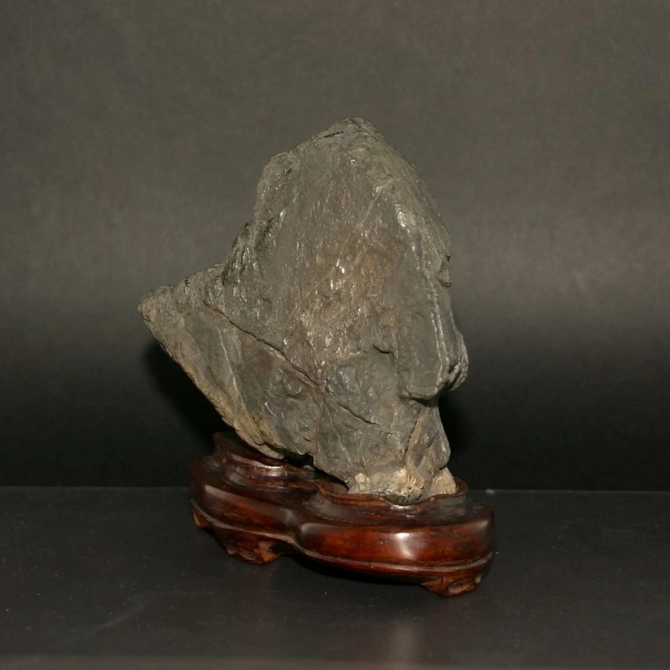 SUISEKI, BONSEKI Furuya Stone con una gran entrada a la cueva, piedra Kaya, ped Karaki Foto 4 de 4