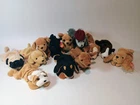 12 Vintage Puppy Dog Beanie Babies lot USED with attached heart  tags 1995-1998
