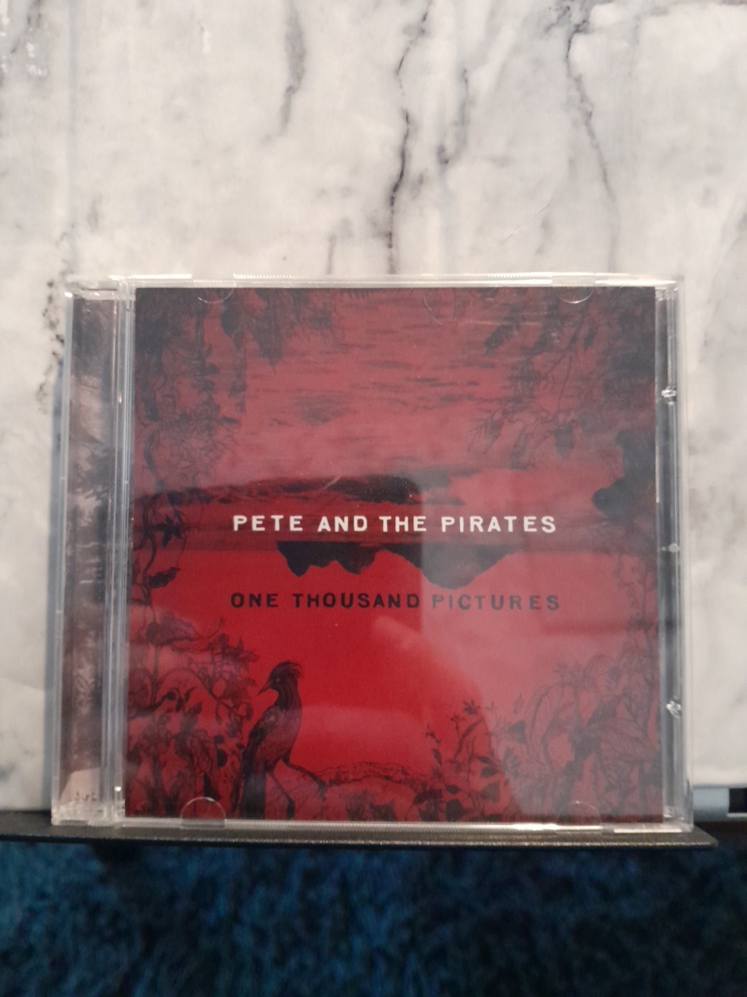 Pete and the Pirates : One Thousand Pictures CD (2011) Very Good Condition