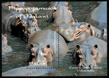 Malawi 2009 - Hippopotamuses of Malawi - Souvenir Stamp Sheet - Scott #7