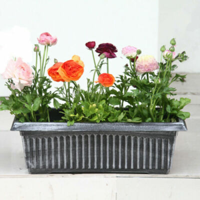 Vaso Rettangolare Plastica Fioriera Lunga In Plastica Grigia Vaso Per Piante Da Finestra - Foto 12