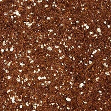 Coconut Coir - Coco Peat & Perlite 50/50 Organic Growing Media for Garden Plants