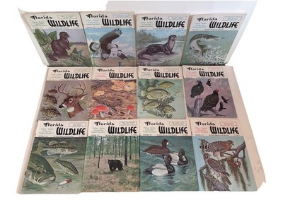 12 ISSUES 1971 Florida Wildlife Magazine LOT Hunting Fishing Birds COMPLETE YEAR