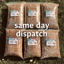 BBQ SMOKING WOOD CHIPS FOOD GRADE SMOKER WOOD CHIPS  BUNDLE BULK DEAL OFFER