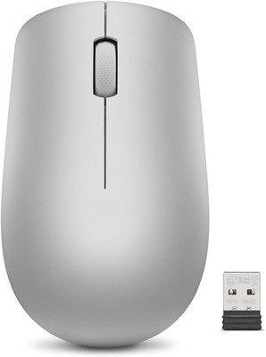 Lenovo [Maus] 530 Kabellose Funkmaus, works with Chromebook (WWCB), grau