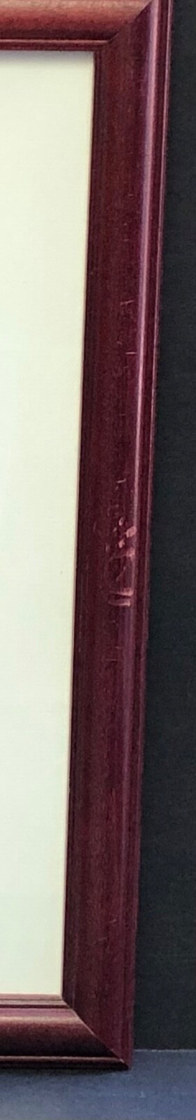 Picture 10 of 11