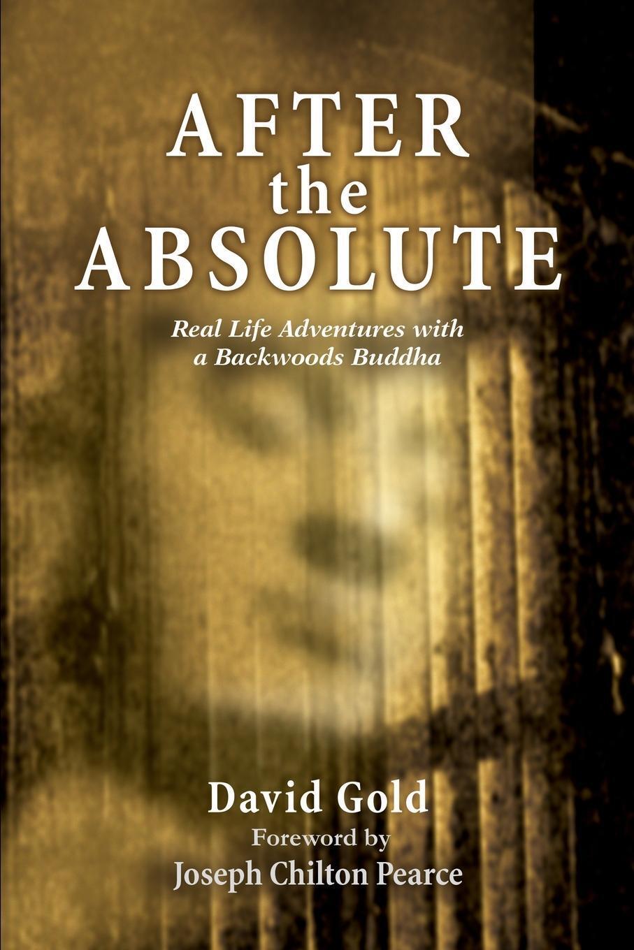 Thumbnail - David God | After The Absolute | Taschenbuch | Englisch (2002) |