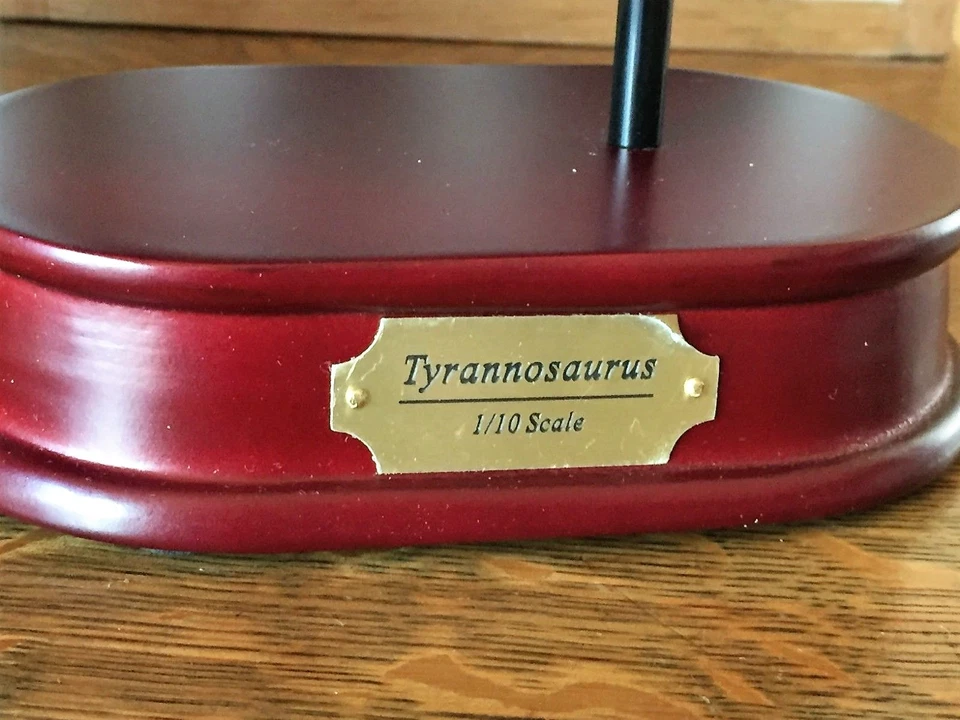 TYRANNOSAURUS T-REX SKULL HUGE LARGE MODEL TOOTH DINOSAUR REPLICA BONE BIG 1/10 - Image 4 of 4