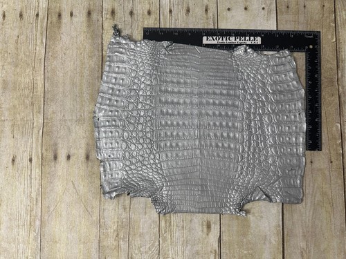 Silver Genuine Caiman Crocodile belly Hide Leather Skin real alligator Croc 569 - Picture 2 of 4