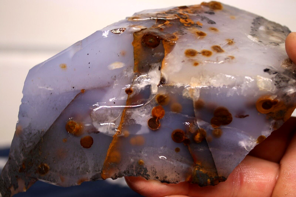 1LB 10oz Blue Ice Polka Dot Agate. Madras Oregon Lapidary Rough eBay