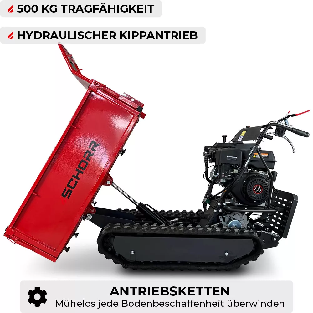 Bild 7 von 12