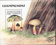 W CAMBODIA 1668 MUSHROOMS