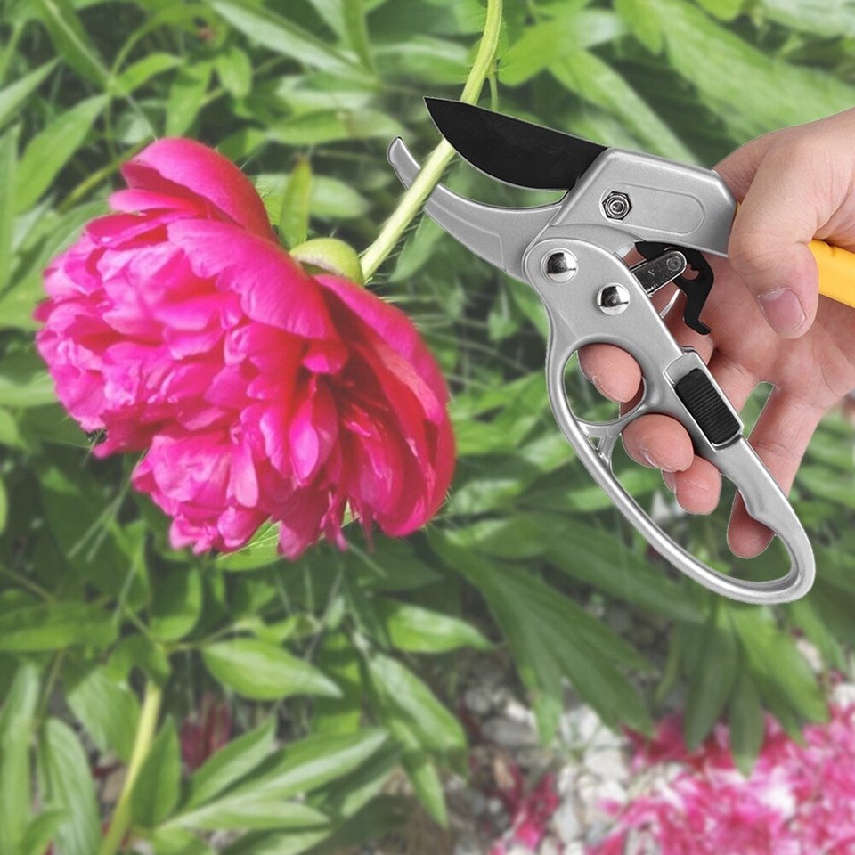 Garden Nursery Fruit Tree Pruning Shears Scissor Grafting Cutting