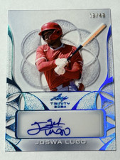 2024 Leaf Trinity BLUE CLEAR AUTO Joswa Lugo 19/49