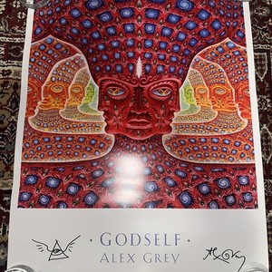 Alex Grey Poster | eBay