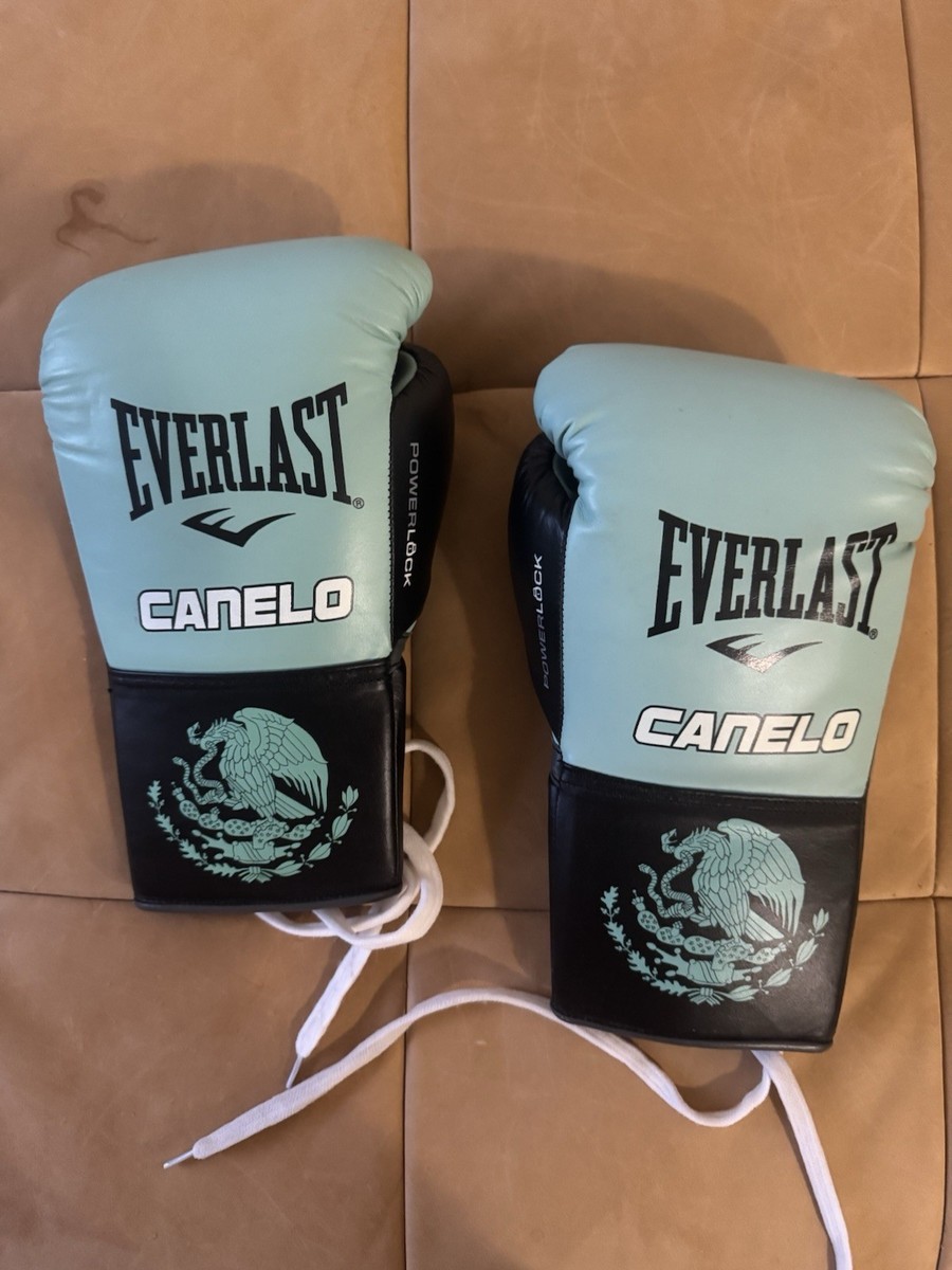 春に散る X WDS X EVERLAST BOXING GLOVE 10oz 春に散る X WDS X EVERLAST BOXING GLOVE 10oz