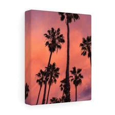 Pinkish Sky Black Palm Trees Stretched Canvas