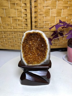 2.6LB Natural citrine Cluster quartz cluster crystal mineral specimen gift +base
