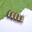 10-conjuntos-De-Prata-Banhado-A-Ouro-Listra-Oval-Fechos-Ganchos-magnetico-poderoso-10X6MM miniatura 13