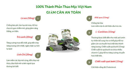 4 Boxes VY SLIM Herbal Weight Loss Fat Burner Detox Pill - Giam can Vy Slim - Picture 11 of 12