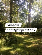 Random Oddity Box