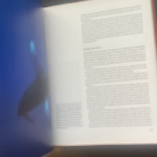 Jacques Cousteau Whales Limited Edition To 375! HC Book Leather Bound 1986 Vtg - Picture 7 of 17