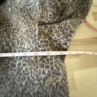 Bild 8 von 11