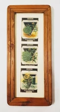 Vintage Framed 1920s Herbs Original Seed Packs Card Seed Co Country Farmhouse