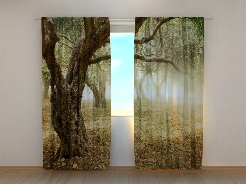 3D Photo Curtain Old Olive Trees Made to Measure
