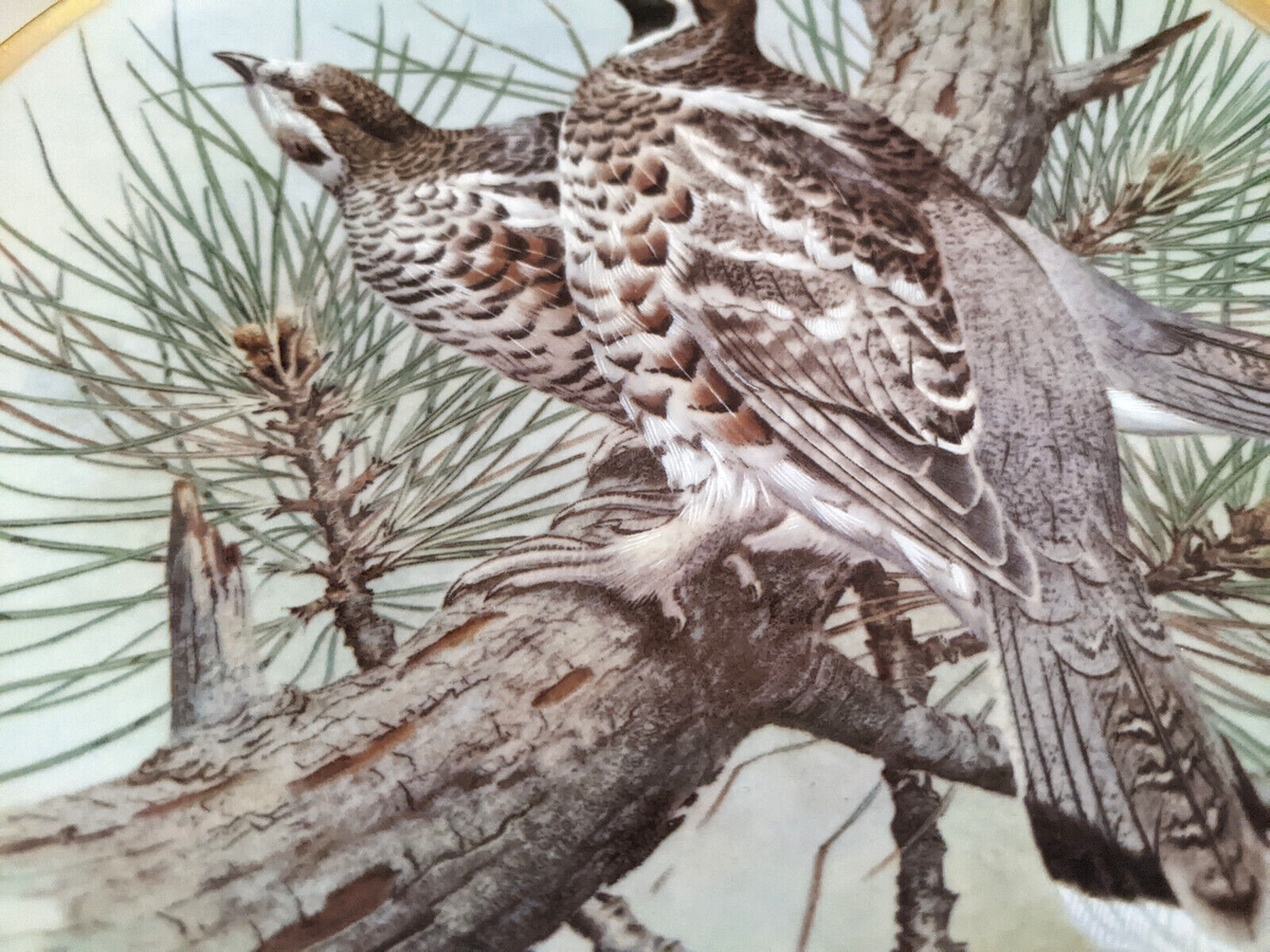 FRANKLIN PORCELAIN 25種 バードシンブル FRANKLIN PORCELAIN 25種