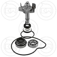 ÜBerholsatz Reparatur Wasserpumpe Yamaha Tmax T-Max T Max 500 Jahr 2001