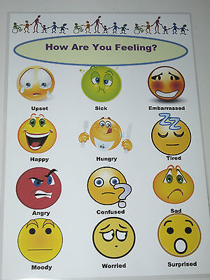 Emotions/Feelings A4 Laminted Poster Special needs Autism communication