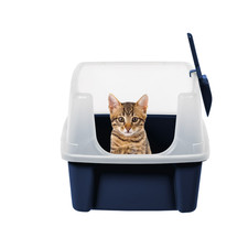 High Sided Open Top Cat Litter Box with Scoop, Navy