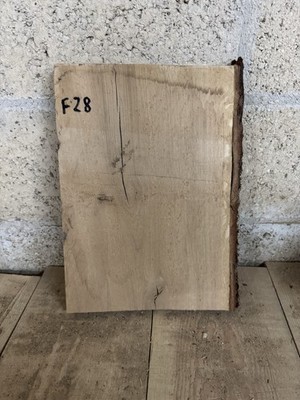 Eiche Hartholz Schnittholz Ableger - 39 x 27 x 3 cm - Holz DIY Basteln