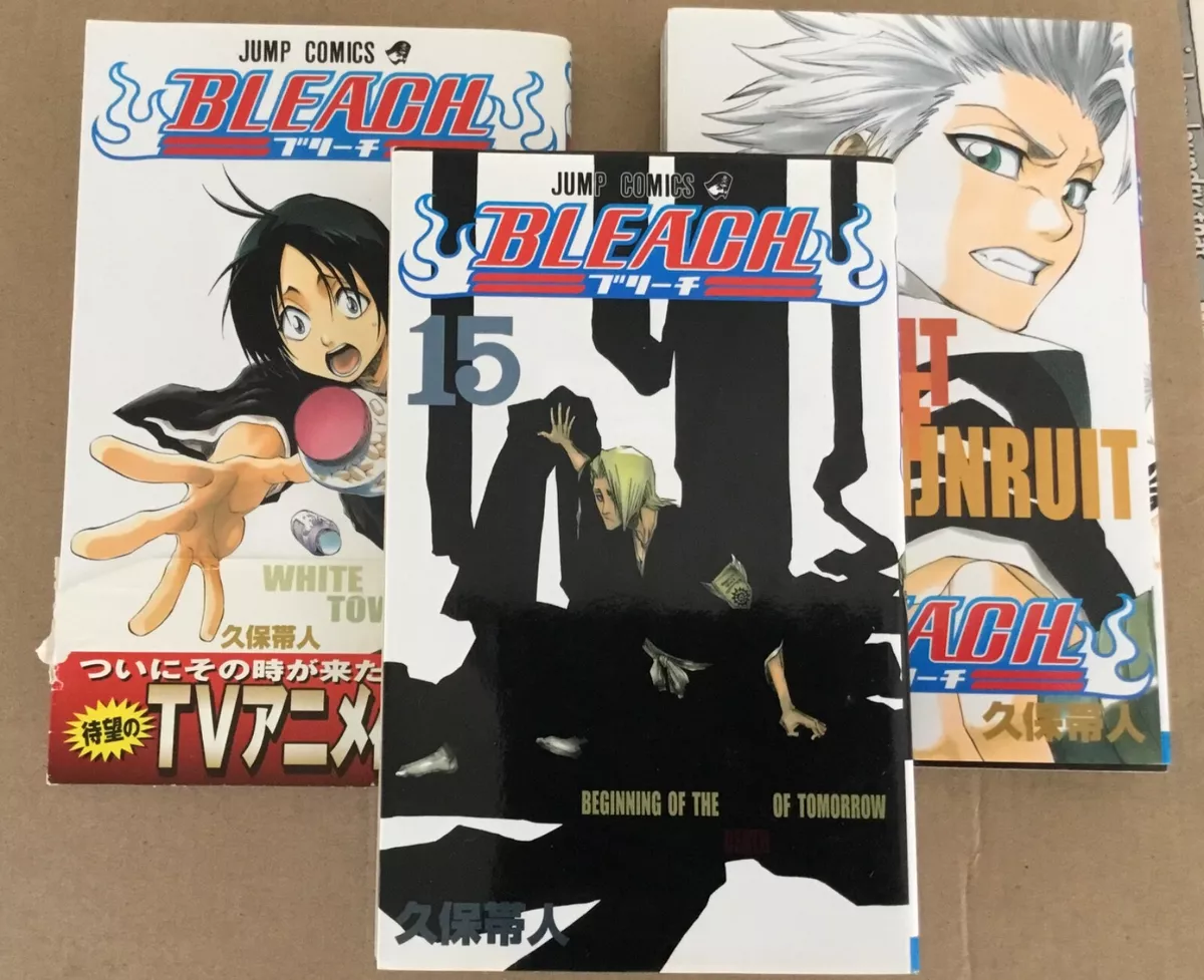 BLEACH Manga Volume 14