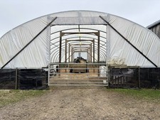 NORTHERN POLYTUNNELS 70FT LONG X 30FT WIDE LIVESTOCK SHED / SHEEP HOUSE / BUILDI