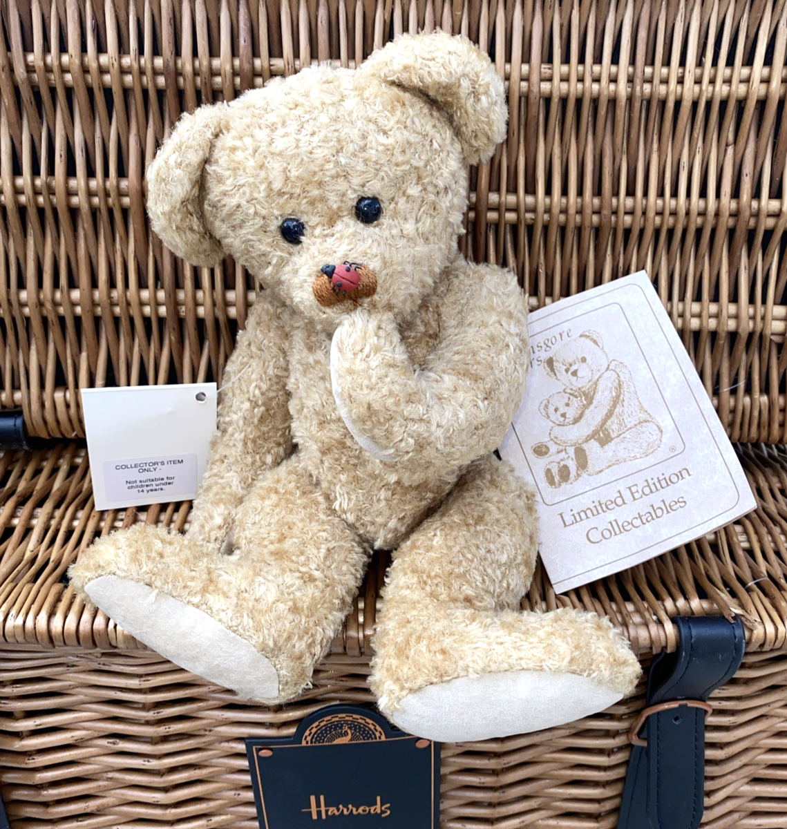 Bransgore Bears 