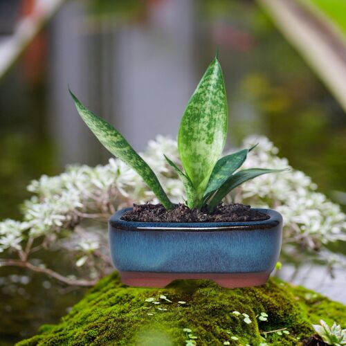 Flower Vase Ceramic Multicolor Modern Solid Bottle Decor Small Free Stand - Picture 2 of 16