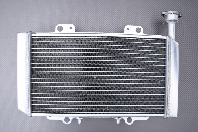 Radiateur Racing Hisun HS400 anti surchauffe avec faisceau d'eau élargi