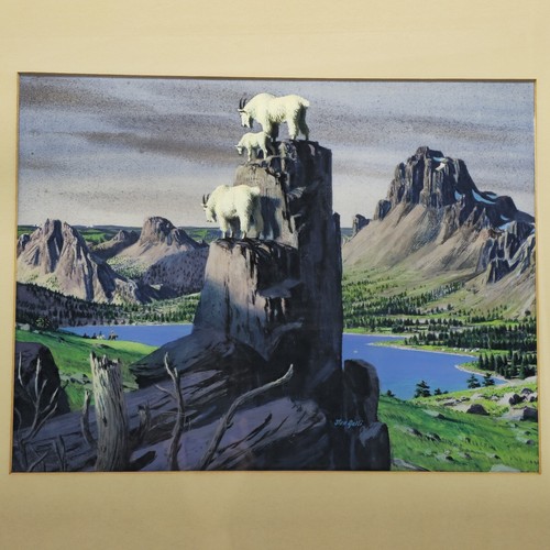 Stan Galli (1912-2009) Mountain Goat Family - Original Gouache On Board Painting - Picture 2 of 12