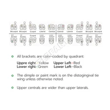 Dental Orthodontic Bracket Brace Standard Metal Roth/MBT 022 345Hooks 20Pcs/pack