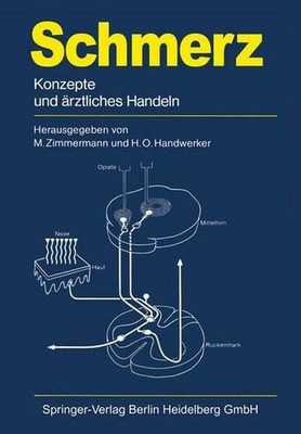Schmerz: Konzepte und ?rztliches Handeln by N. Birbaumer (German) Paperback Book