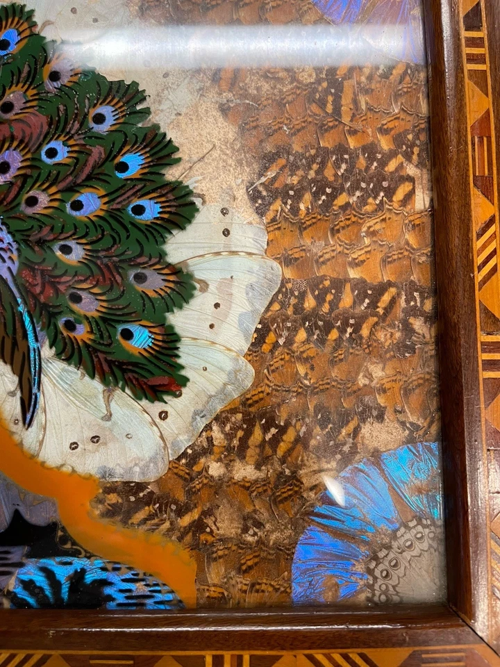 Vtg Antique Exotic Wood Tray Butterfly Wing Reverse Glass Painting Peacock Art - Image 3 of 4