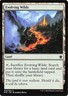 Evolving Wilds 248 Tarkir Dragonfury Promos Magic: The Gathering NM