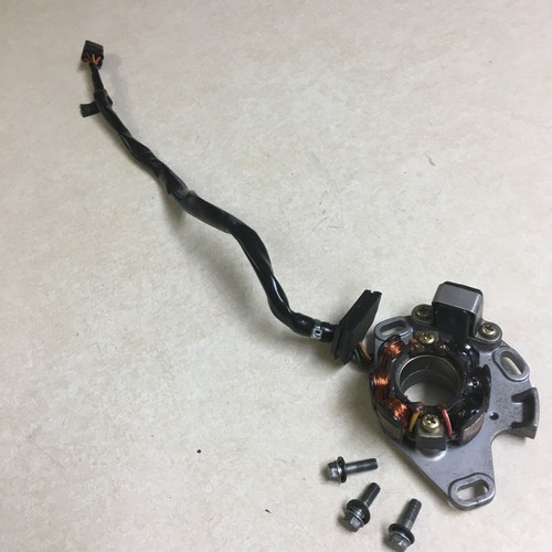 OEM 2005  2008 Suzuki RM250 2Stroke Stator Assembly 3210137F30 G2U