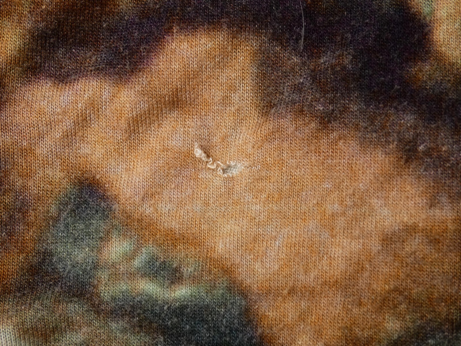 Picture 6 of 6