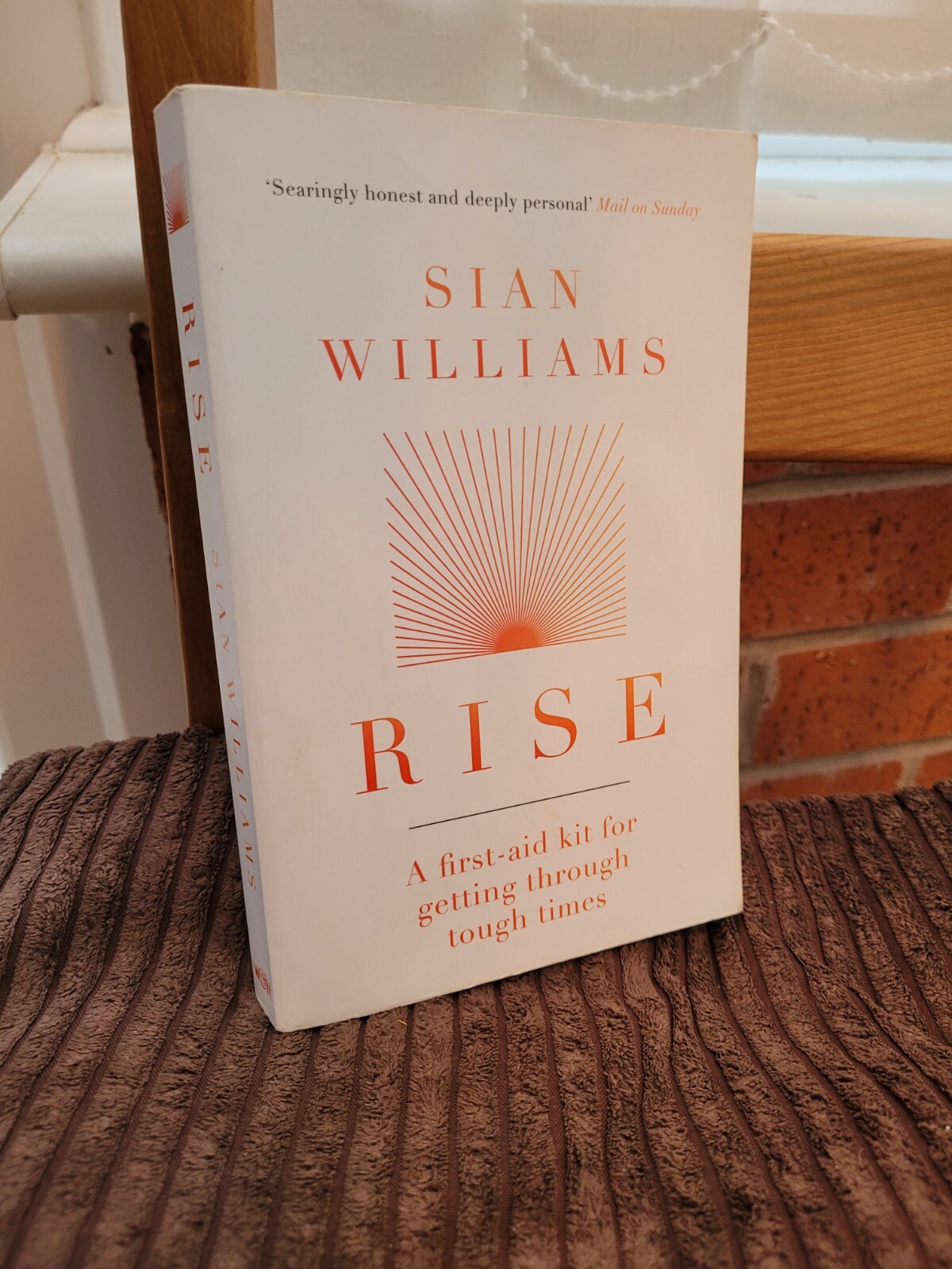 Rise: A first-aid kit for getting through tough times by Sian Williams...