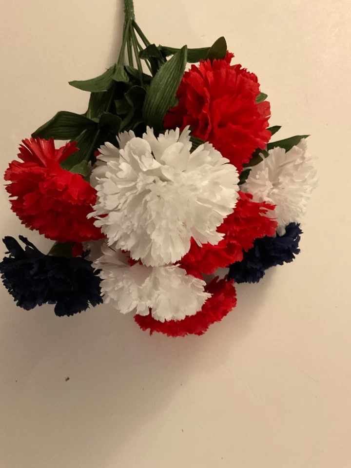 Clavel rojo blanco y azul 16 pulgadas arbusto patriótico Foto 2 de 4