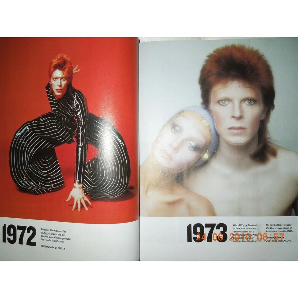 DAVID BOWIE his enduring INFLUENCE ON STYLE & CULTURE + RARE PHOTOS no label NEW - Image 4 of 4