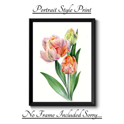 TULPE BOTANISCH A4 DRUCK BILD POSTER WANDBILD WOHNDEKO UNGERAHMT NEU